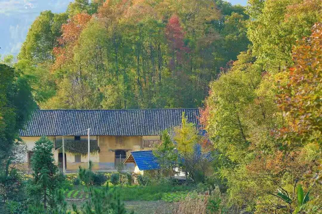 三峽鏈子崖旅游生態(tài)鴻蒙原子化制作公司.jpg