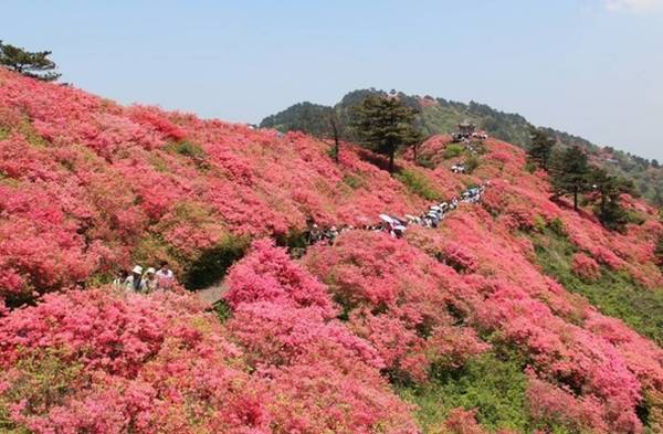 龜峰山風(fēng)景區(qū)鴻蒙原子化服務(wù)商小泥人.jpeg