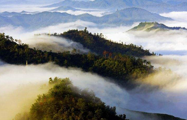 武漢木蘭云霧山景區智慧導覽小程序制作公司.jpg