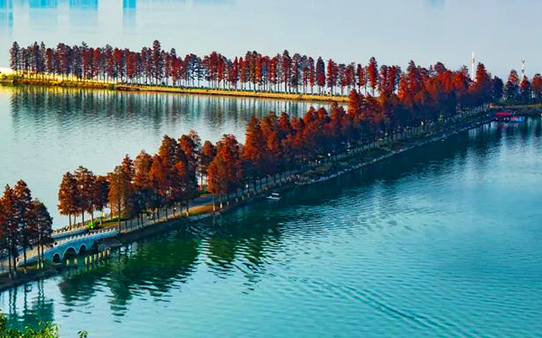 武漢環東湖綠道景區智能電子導覽.jpg
