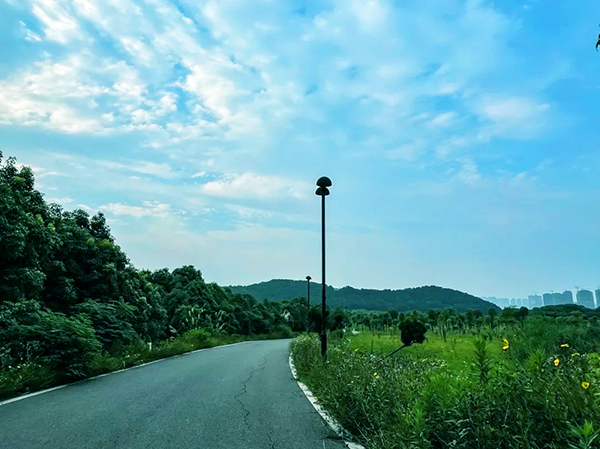 武漢環東湖綠道景區智能電子導覽制作公司.jpg