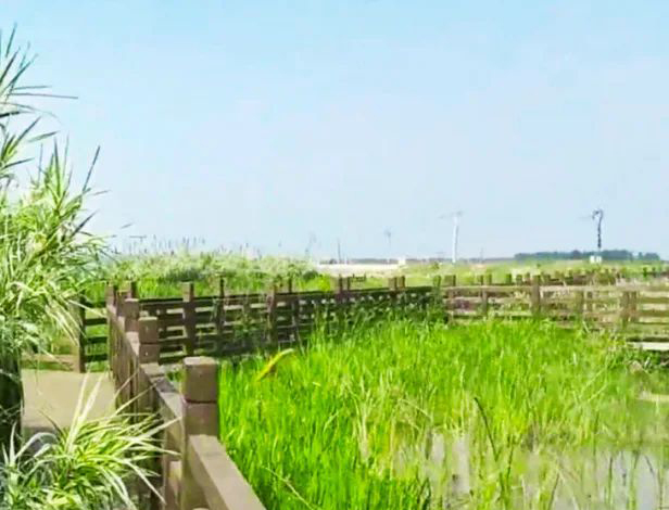 安山國(guó)家濕地公園智慧導(dǎo)覽制作公司.jpg