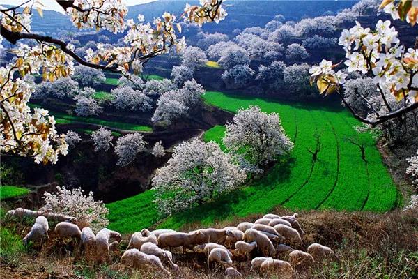山西萬(wàn)榮孤峰山景區(qū)鴻蒙原子化服務(wù)功能.jpg