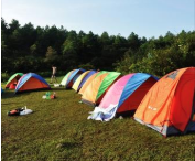 露營基地公園電子票務系統解決窗口售檢票5大風險.png