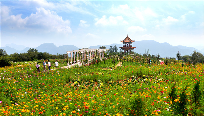 露營基地帳篷公園點餐收銀售檢票系統(tǒng).jpg