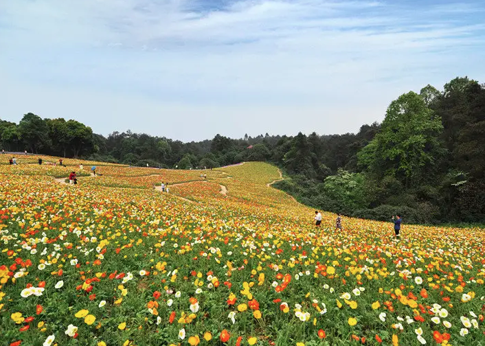 被譽為“中國達沃斯，成都御花園”的石象湖景區智慧電子導覽上線了.png
