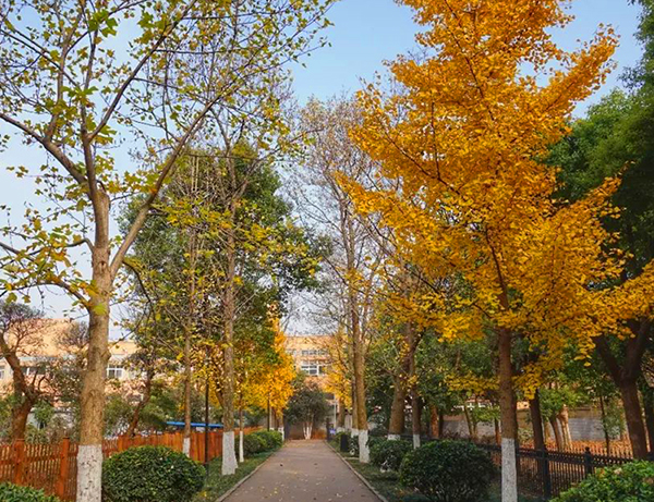 武漢市園林科普公園智能導覽功能.jpg
