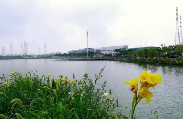 武漢楊春湖公園智能導覽上線.jpg