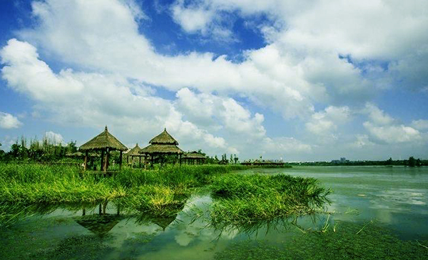 武漢市沉湖濕地公園電子導(dǎo)覽.jpeg