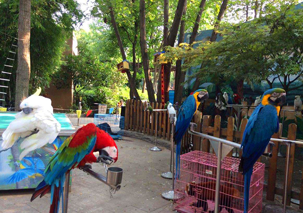 武漢動物園智慧電子導(dǎo)覽小程序功能.jpeg