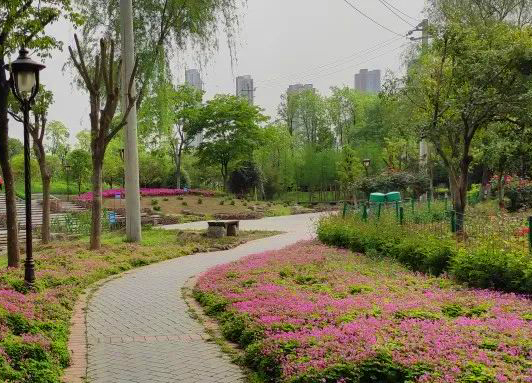 武漢和平公園智慧導覽功能.jpg