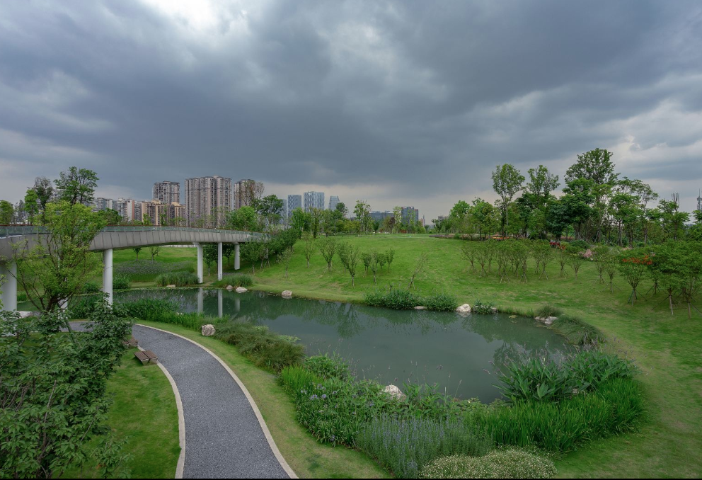 交子公園智能地圖導覽上線結合現場實景還原公園地圖.png