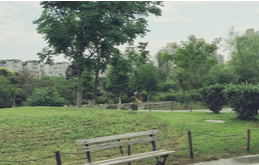 沙河三洞石橋公園智能電子導覽上線了解古人治水文化.png