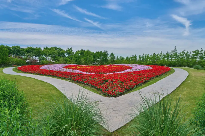 花鄉(xiāng)公園智能電子導(dǎo)覽上線(xiàn)了解花鄉(xiāng)的獨(dú)特魅力.png