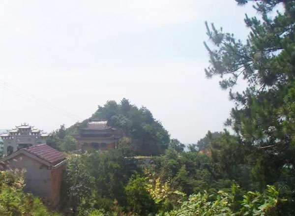 橫崗山森林公園智慧導覽服務商.jpg