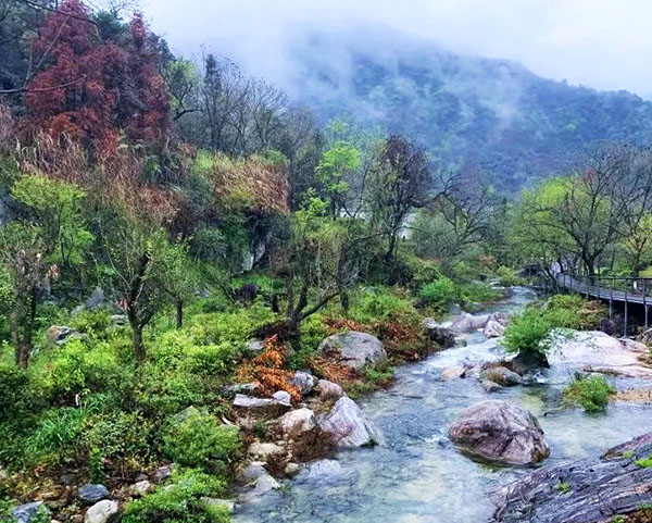 麻城龜峰山景區全景導覽功能.jpg