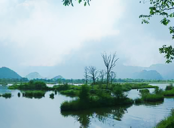 大九湖國(guó)家濕地公園智慧導(dǎo)覽功能.jpg