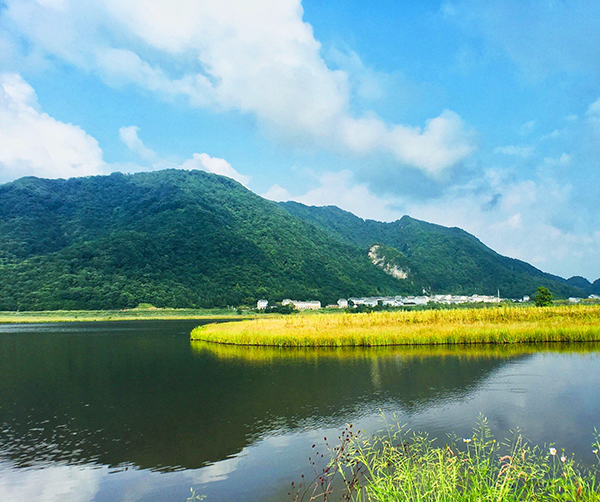 大九湖國(guó)家濕地公園智慧導(dǎo)覽公司.jpeg