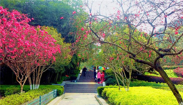 十堰人民公園智慧導(dǎo)覽制作公司.jpeg