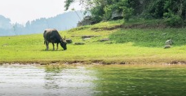 旅游景區(qū)園中園票務(wù)系統(tǒng)功能和好處.png
