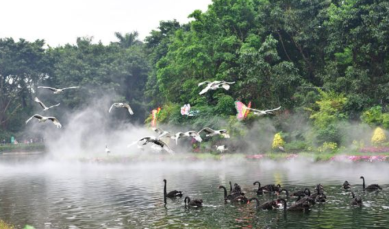 景區(qū)大數(shù)據(jù)分析平臺對旅游景區(qū)發(fā)展的重要性.png