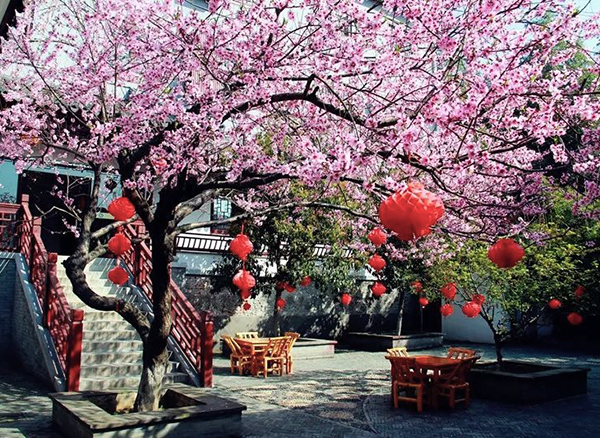 九天玄女風(fēng)景區(qū)智慧電子導(dǎo)覽功能.jpg