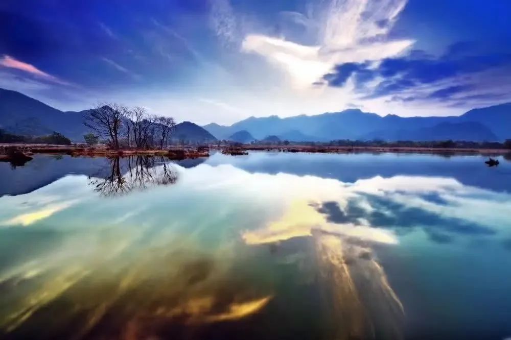 實(shí)名制分時(shí)預(yù)約系統(tǒng)軟件.jpg