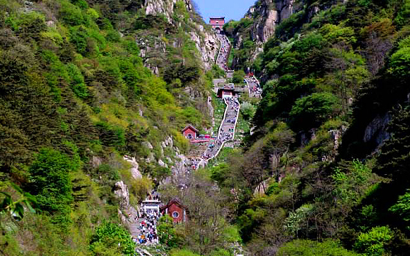 山東泰山景區票務saas系統成功上線了.JPG