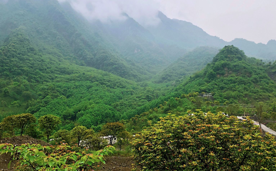 智慧景區(qū)票務系統(tǒng)掃碼入園操作流程.png