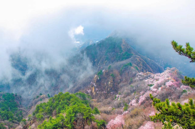 天津盤山風景名勝區多商戶多業態系統方案.png