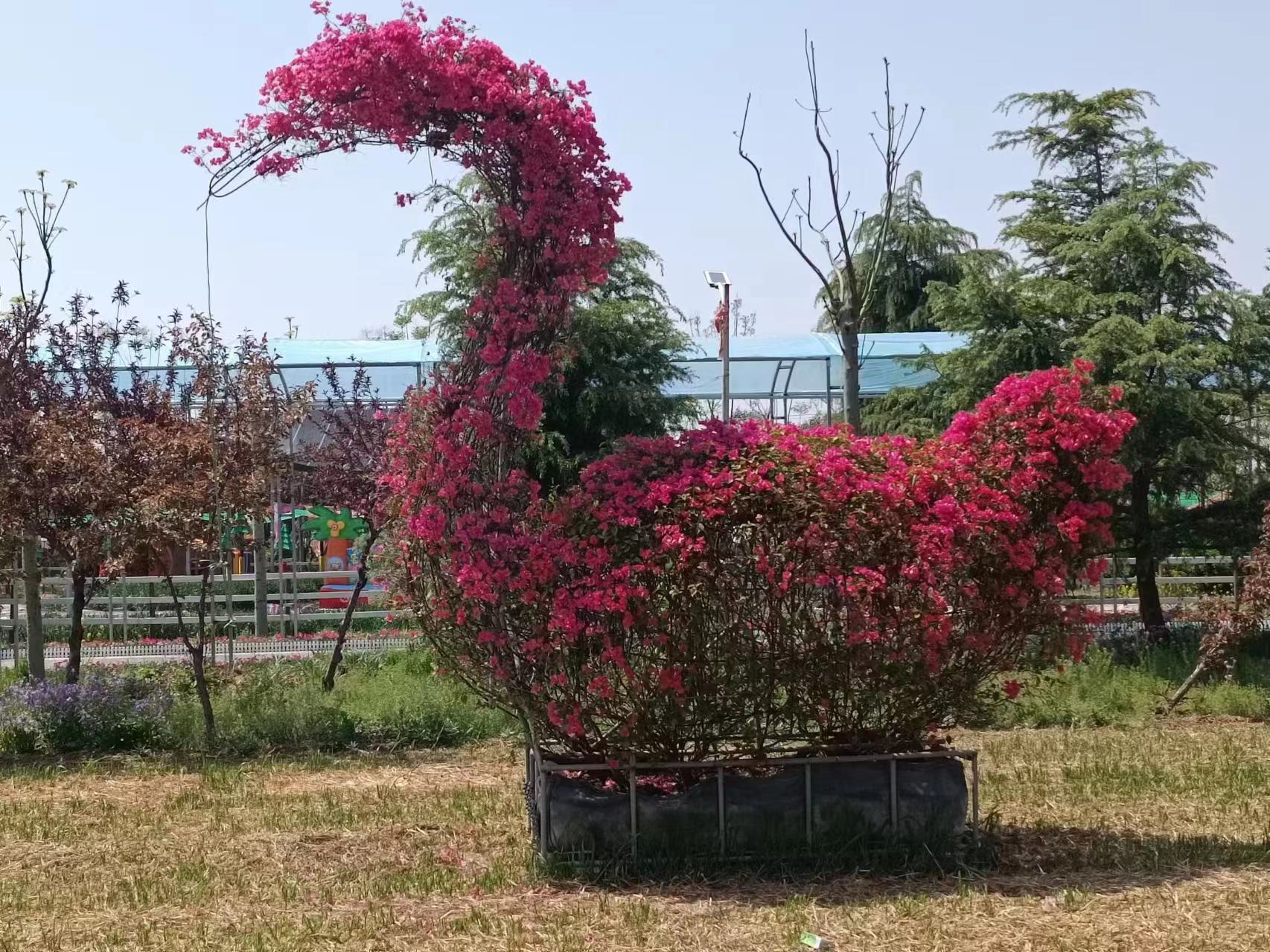旅游景區(qū)電子票系統(tǒng)為五一客流高峰提供方便.jpg