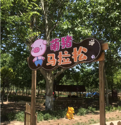 聊城原野樂園saas票務管理系統方案.png