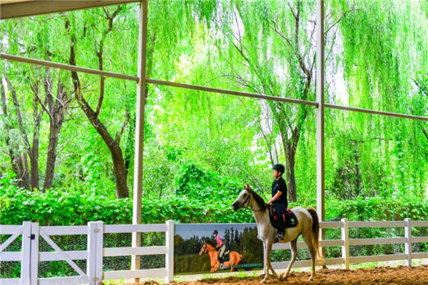 主題樂園售票系統廠家優勢和特點.jpg