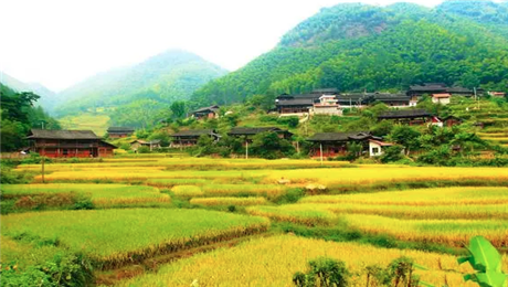 景區(qū)門票系統(tǒng)輕松實現(xiàn)購票、取票、驗票一體化管理.png