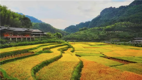 景區(qū)門票系統(tǒng)輕松實現(xiàn)購票、取票、驗票一體化管理.png