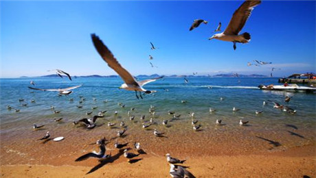 電子票管理系統(tǒng)提升景區(qū)服務(wù)水平.jpg