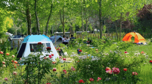 帳篷公園微信預(yù)約系統(tǒng)助力私域流量打造.png