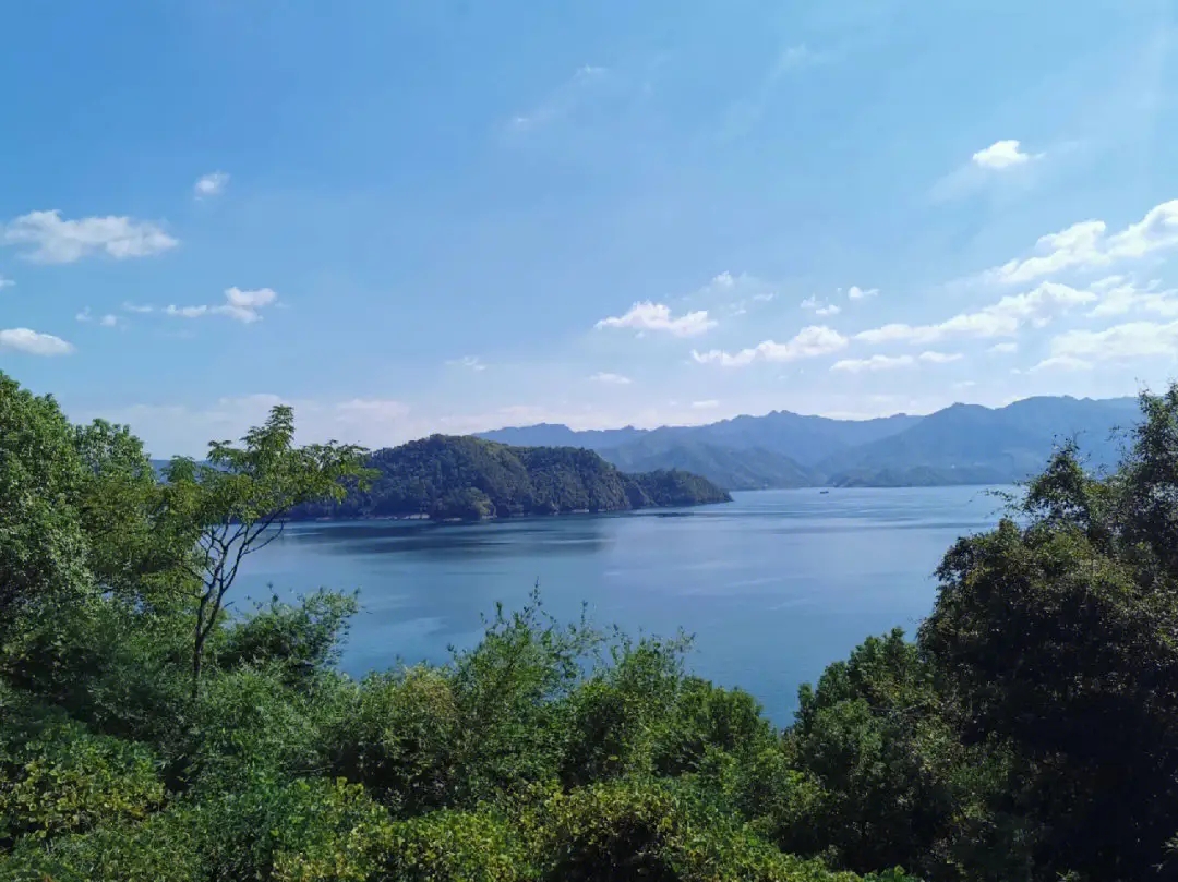 電子票系統(tǒng)建設(shè)的實(shí)際效益.jpg