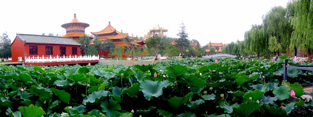 山東濰坊金泉寺景區(qū)票務(wù)管理系統(tǒng)介紹.png