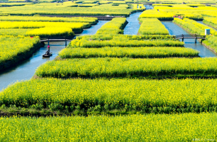 江蘇泰州千垛景區(qū)渠道分銷系統(tǒng)公司哪家強(qiáng)1.png