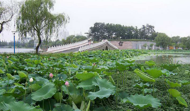 江蘇淮安市景區(qū)票務(wù)管理系統(tǒng)基本概念.png