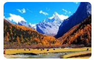 稻城亞丁風景區(qū)渠道分銷系統(tǒng)啟動，解決亂賬問題 (2).png