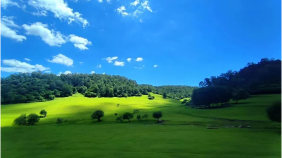 寶雞關山草原景區票務系統功能.png