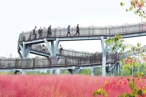 張家口電子票系統(tǒng)方案.jpg