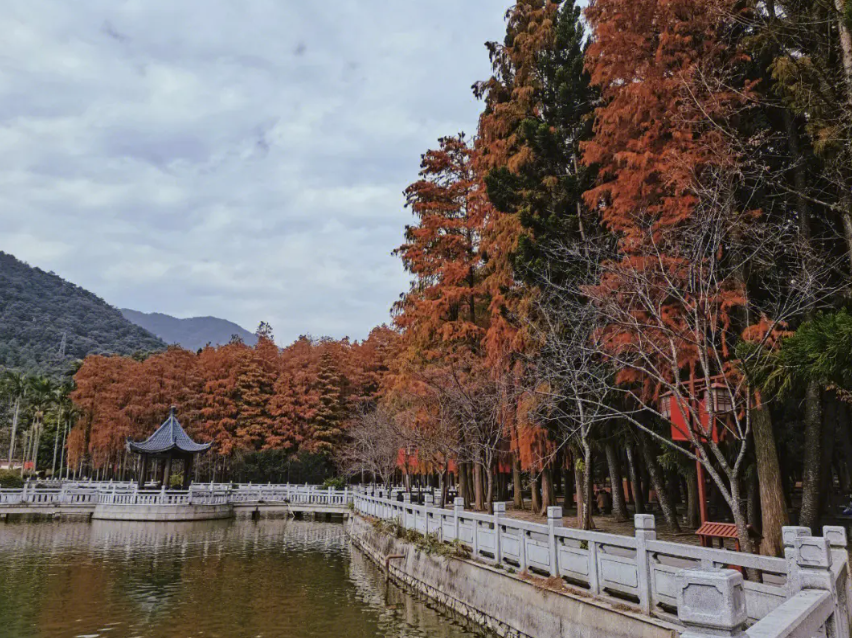 福州國家森林公園票務管理系統方案.jpg