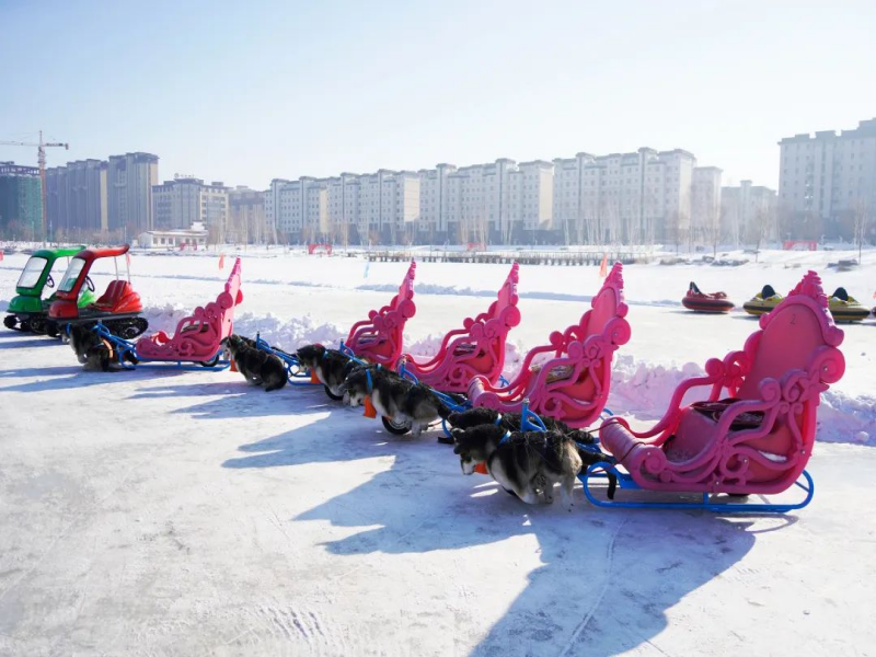 黑龍江大慶油田植物園冰雪嘉年華綜合管理系統(tǒng)方案.png