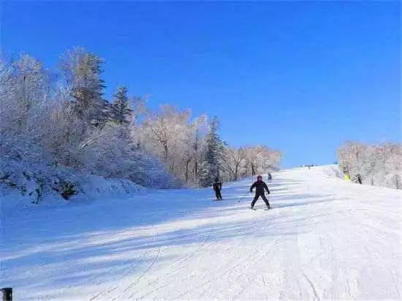 黑龍江哈爾濱月亮灣滑雪場綜合管理系統公司.png