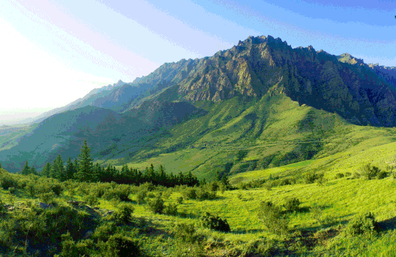 寧夏銀川賀蘭山大峽谷旅游景區對接OTA多少錢.png