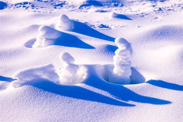 戲雪樂園手機一鍵購票系統多少錢.jpg