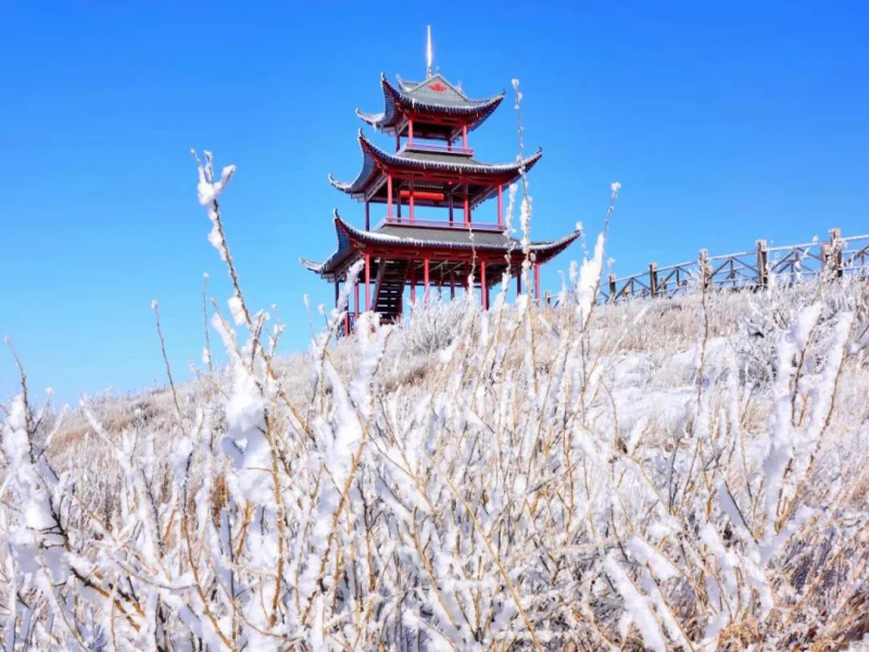 山西朔州右玉冰雪嘉年華票務系統價格.png
